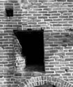 Brick Oven