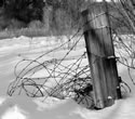 Fence Wire in Snow