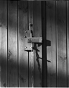 Shed door