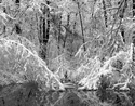 Snow on pond